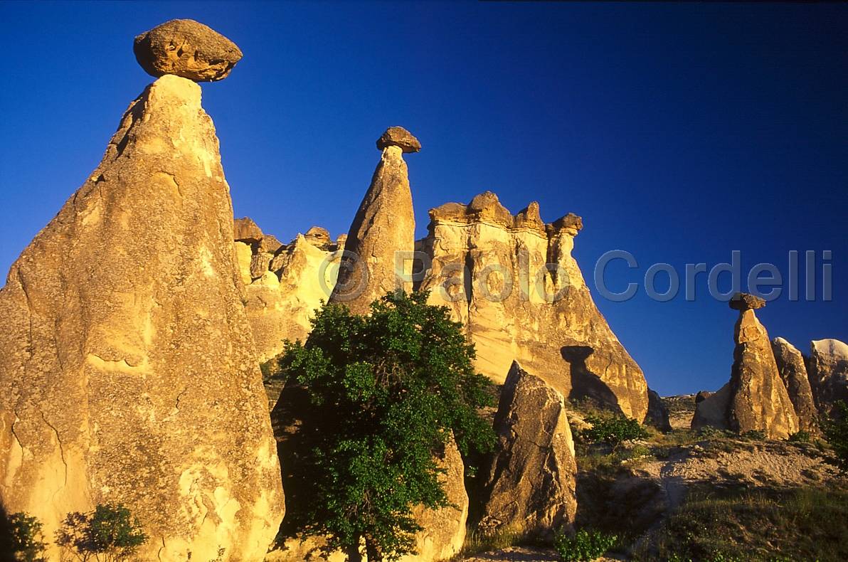 Fairy Chimneys, Cappadocia, Turkey
 (cod:Turkey 02)